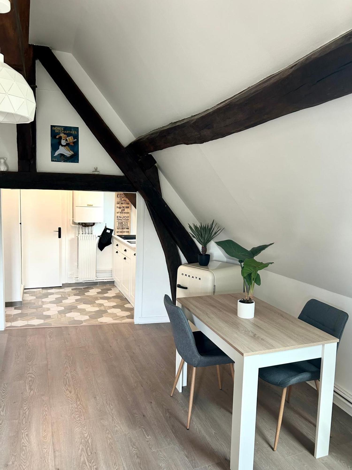 L Ecuyer Appartement Au Coeur Du Quartier Historique Шартр Экстерьер фото